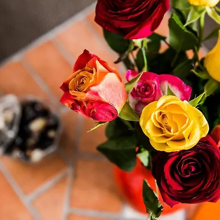 Apartamento I Budapest